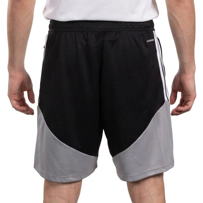 Technische Ausgehshorts Real Zaragoza 26-27 Shorts