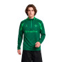 Real Betis Training 2026-2027-Green