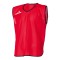 Colete de treino Mercury Gol