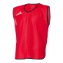 Gol Rosso