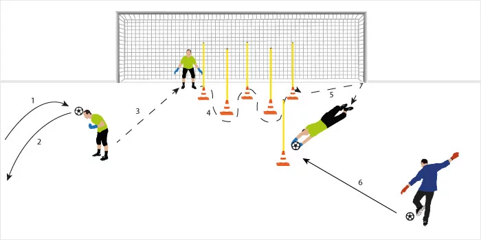 post card entrenamiento_desplazamiento11.webp