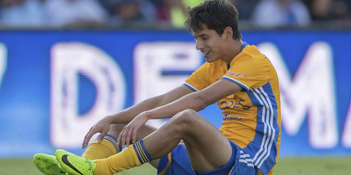 post card Jürgen-Damm-Tigres-1200x600.webp