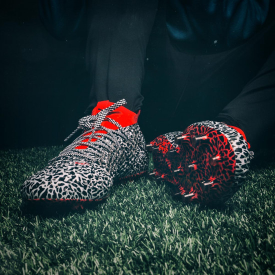 Puma best sale future safari