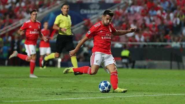 post card pizzi.webp