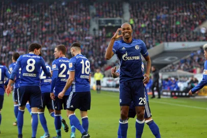 shalke.webp