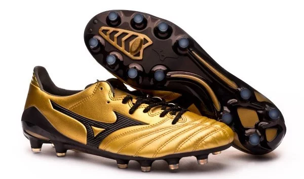 post card mizuno_morelia1.webp