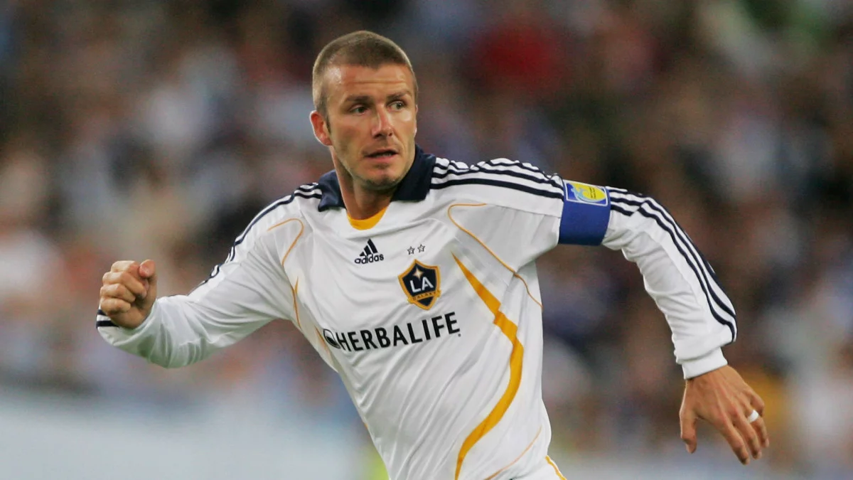 post card Post-MLS-4.webp