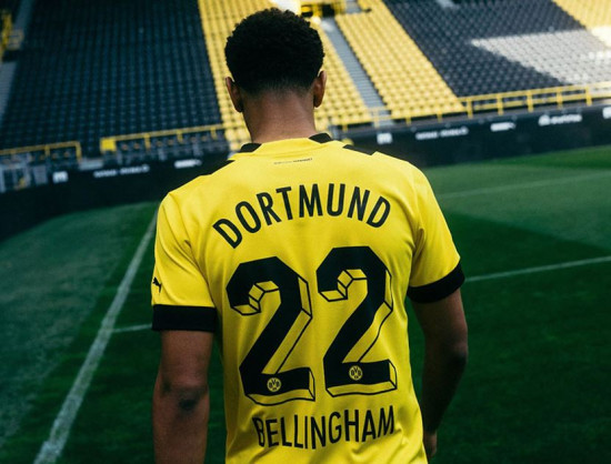 Camiseta de Entrenamiento Borussia Dortmund 2022-2023 Gris