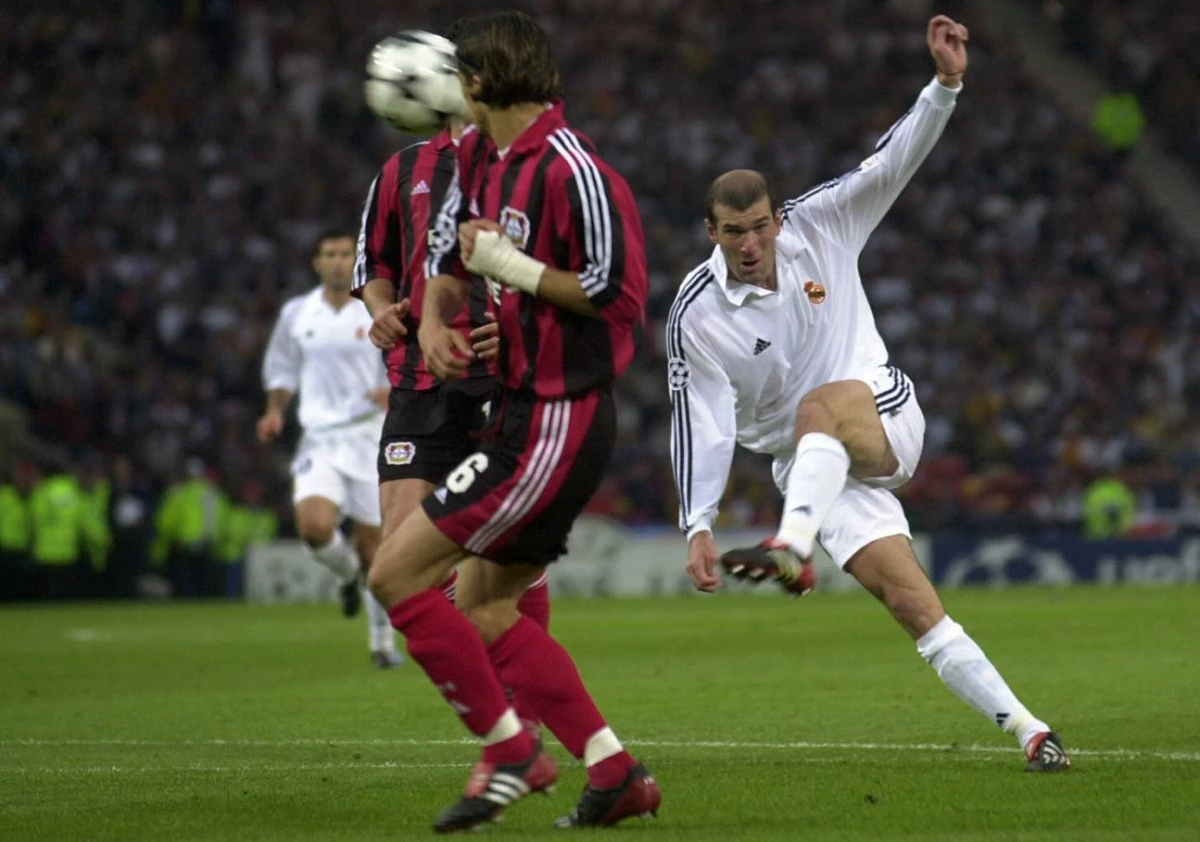 post card zidane_predtor_mania.webp
