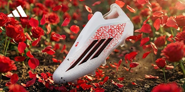 post card post-lamine-rosas-grandejpeg2.webp