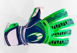 Gants de gardien HO