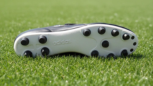 Césped Natural (FG)