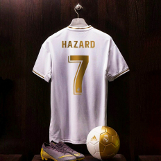 WELCOME HAZARD
