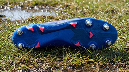 Césped Natural Húmedo (SG)