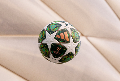 card Champions League football 24/25