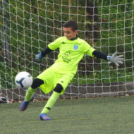 Victor Manuel De Las Heras Martins