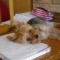 Lydia Luque Mariscal