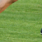 Alejandro Ramirez8