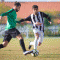 Eduardo Perpétua Estrela1